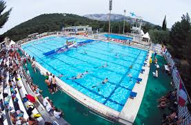 Image result for Brighton Octopush Club