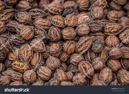 Attēlu rezultāti vaicājumam “Juglans mandshurica”