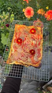 Afbeeldingsresultaat voor cabin tomato