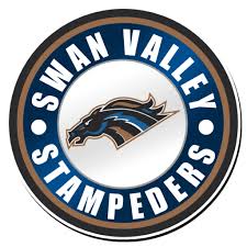 Image result for Swan`s Hockey Club