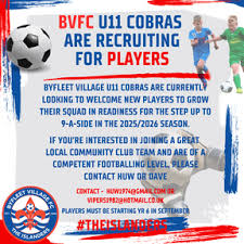 Image result for Byfleet Village Football Club