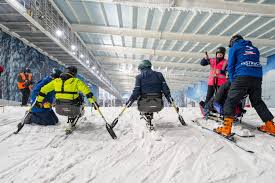 Image result for British Ski Club For The Disabled