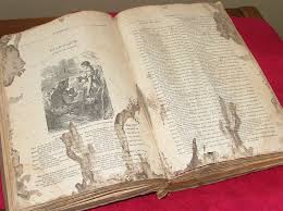 Image result for Halstead Cyclones