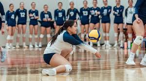 Image result for York University Volleyball Club