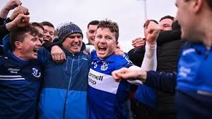 Image result for Sarsfields Hurling Club