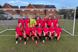 Image result for Beecholme Belles Banstead FC