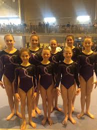 Image result for Wyre Forest School Of Gymnastics