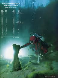 Image result for 243 Diving Club