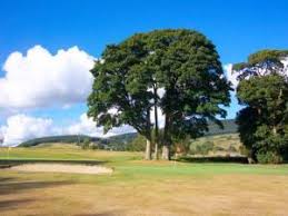 Image result for Mountain Ash Golf Club