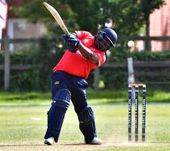 Image result for Old Tauntonians and Romsey Cc