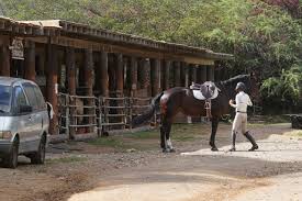Image result for Cliff Hatch Stables