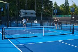 Image result for PICKLEBALL GORLESTON