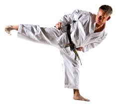 Image result for Shotokan Karate