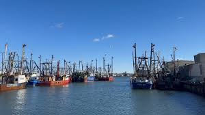 Image result for Bedford