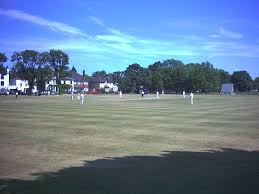 Image result for Mitcham Cricket Club