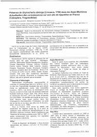 Attēlu rezultāti vaicājumam “Grynocharis oblonga”