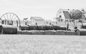 Image result for North Lammermuir Riding Club