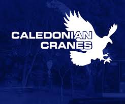 Image result for Dunblane Scrabble Club