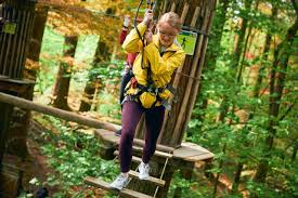 Image result for Go Ape! Grizedale