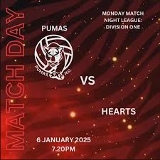 Image result for Pumas Netball Club