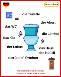 Image result for german toilet