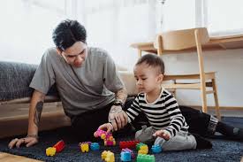 Image result for Cambrian Centre for Activity