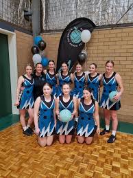 Image result for pulborough netball club