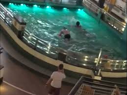 Image result for Trafford Synchronised Swimming Club