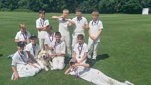 Image result for Weybridge Cricket Club