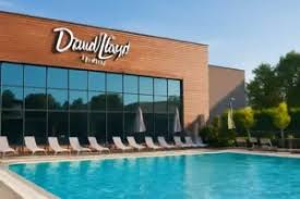 Image result for David Lloyd Senior Badminton Club