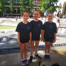 Image result for Alpha Trampoline Club