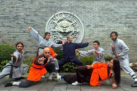 Image result for Shaolin Ancestors kung Fu School