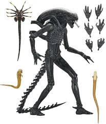 Image result for xenomorph