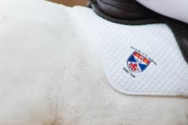 Image result for Reading University Riding Club