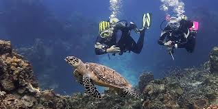 Resultado de imagen para cozumel dive
