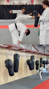 Image result for Abbey Fit Karate Club & Seiki Juku