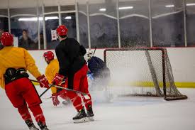 Image result for Streatham Night Wolves Ice Hockey Team
