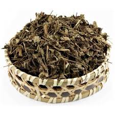 Attēlu rezultāti vaicājumam “Agrimonia pilosa”