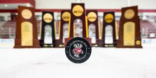 Image result for Widnes Ladies Hockey Club