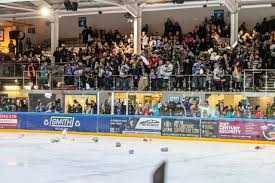 Image result for Milton Keynes Ice Skating Club