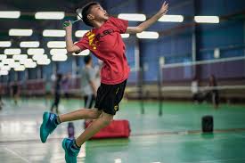 Image result for The Isle Badminton Club