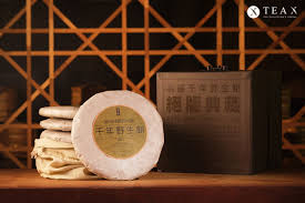 Image result for 2001早春