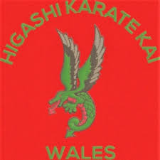 Image result for Twyford Higashi Karate Club