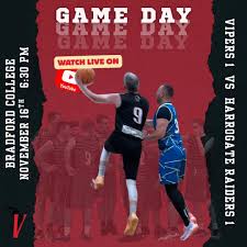 Image result for Spen Valley Vipers