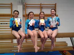 Image result for Brumby Gymnastics Club
