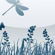 Attēlu rezultāti vaicājumam “Rabdophaga heterobia”