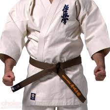 Image result for Kyokushin Karate