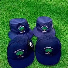 Image result for Whitchurch Wayfarers Cricket Club