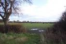SE4952 : Dairy cows on pasture off Atterwith Lane. near to Long Marston, - via Daymix