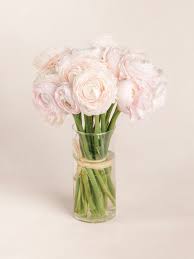 Attēlu rezultāti vaicājumam “Ranunculus elatior flower”